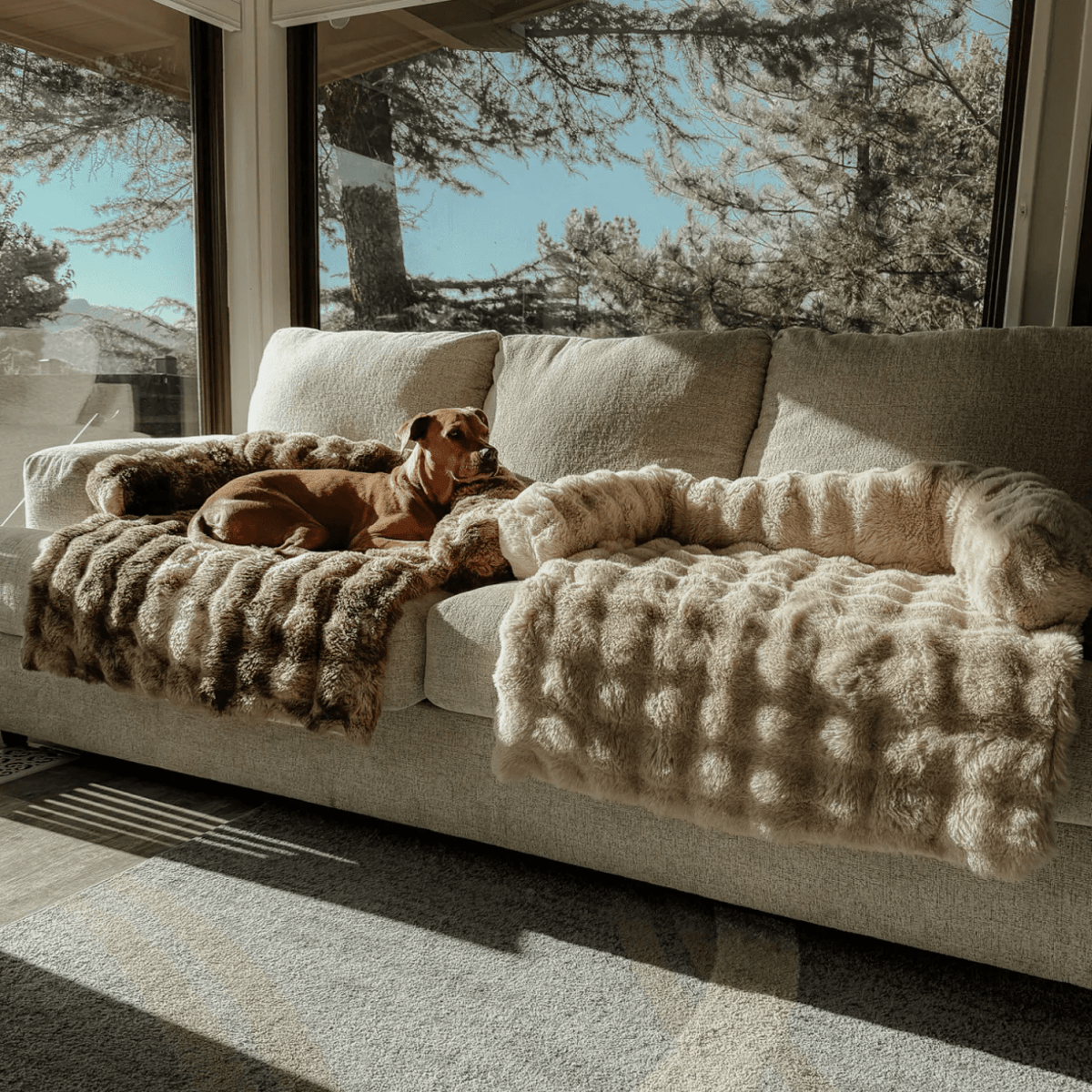 SnugPaw™ – Hyggelig hundeseng - SnugPaw™